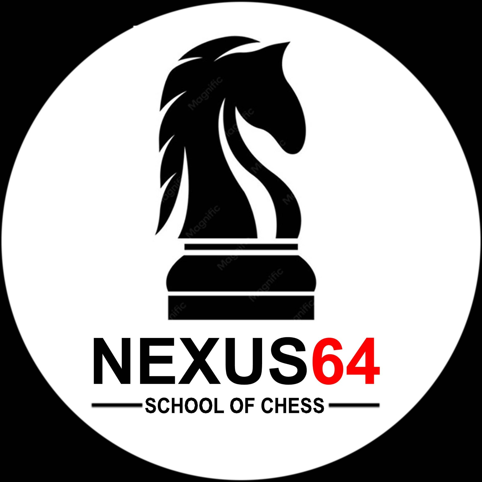 Nexus64 Logo